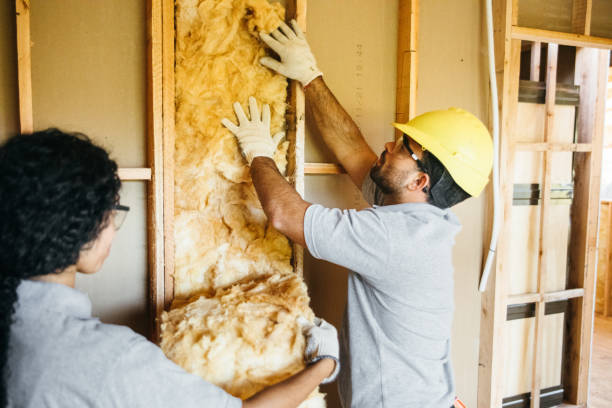 Best Batt and Roll Insulation  in Wlowbrook, IL